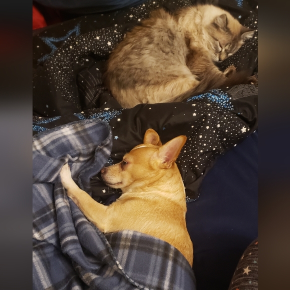 Meet your Posher, Regina - Picture 13 of 13